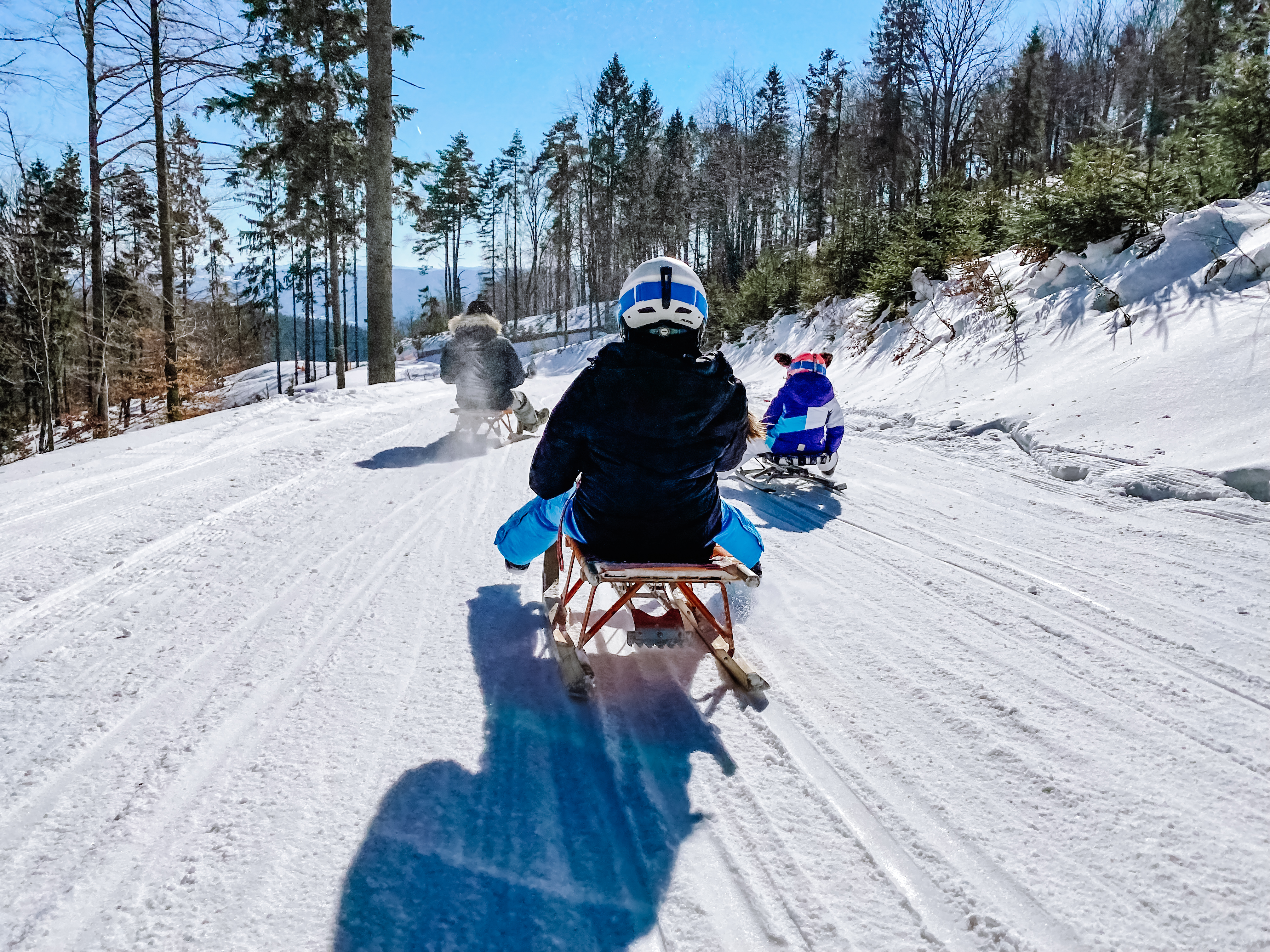 Sankolandia - zdjęcie grupowe