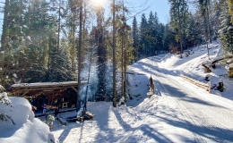 Możliwość zorganizowania imprezy pod wiatą